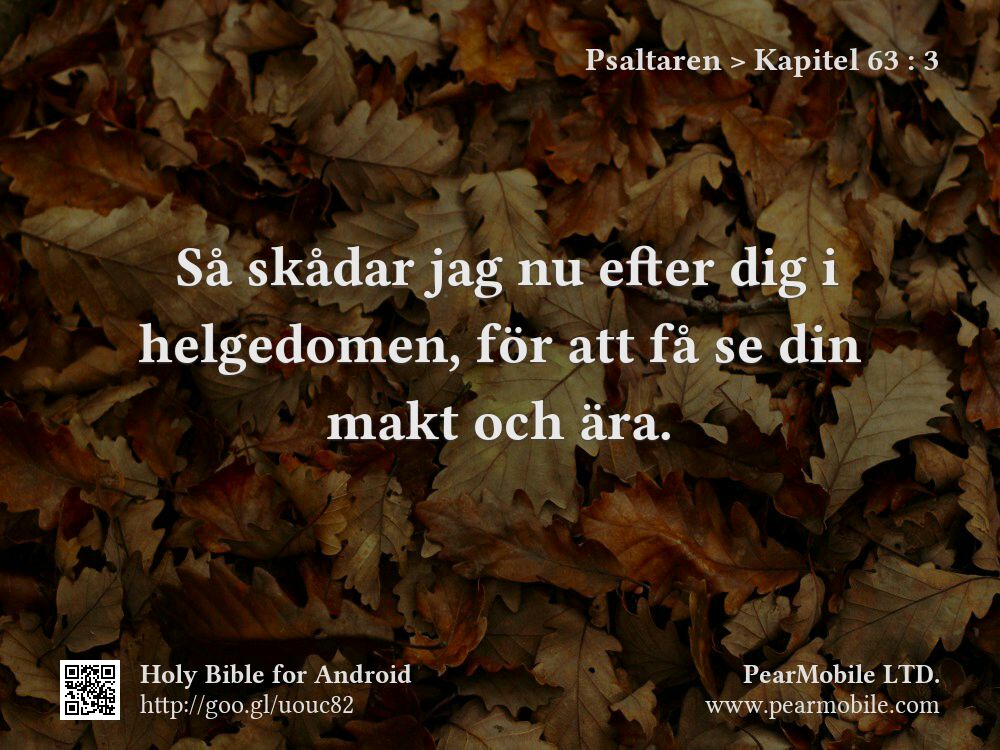 Psaltaren, Kapitel 63:3